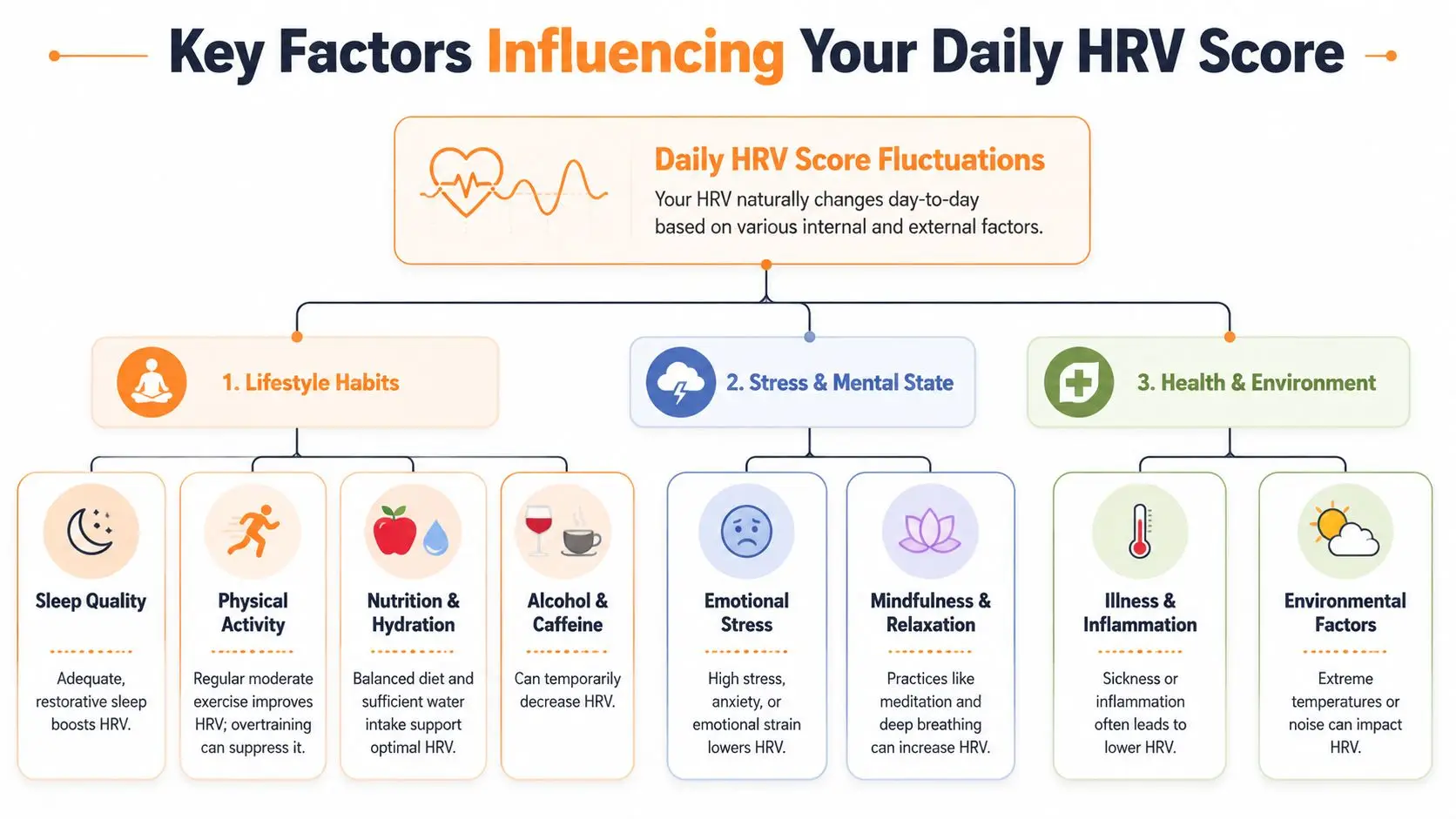 An infographic displaying the key lifestyle, stress, and health factors influencing daily heart rate variability scores.