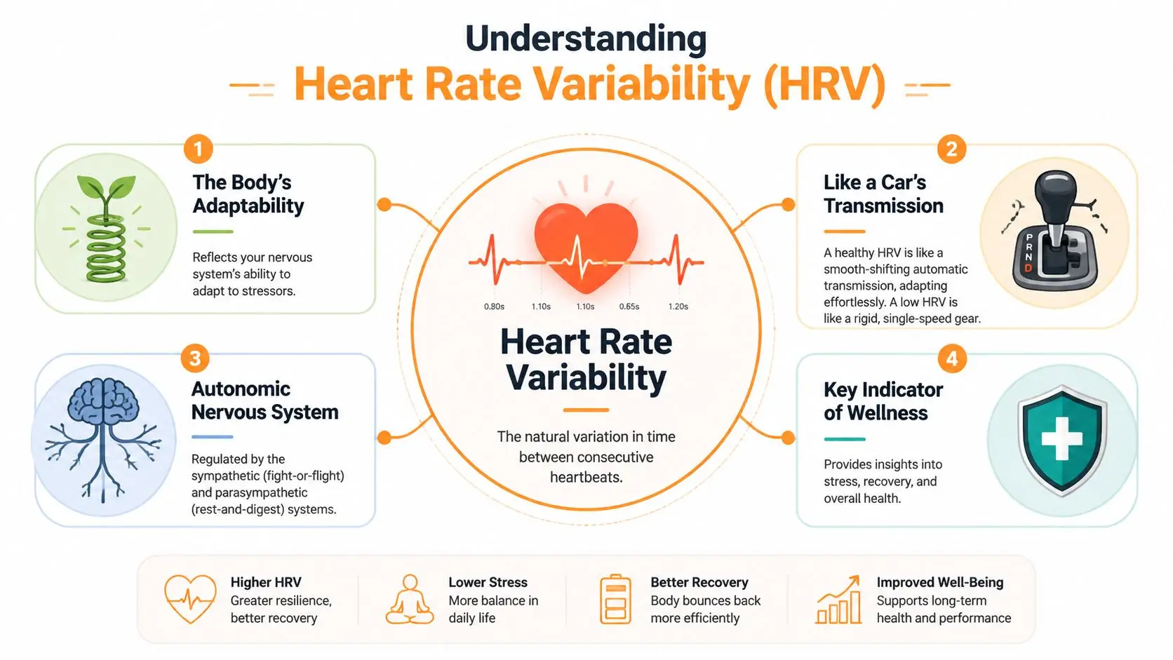 An infographic explaining heart rate variability as a key indicator of bodily stress and autonomic nervous system health.