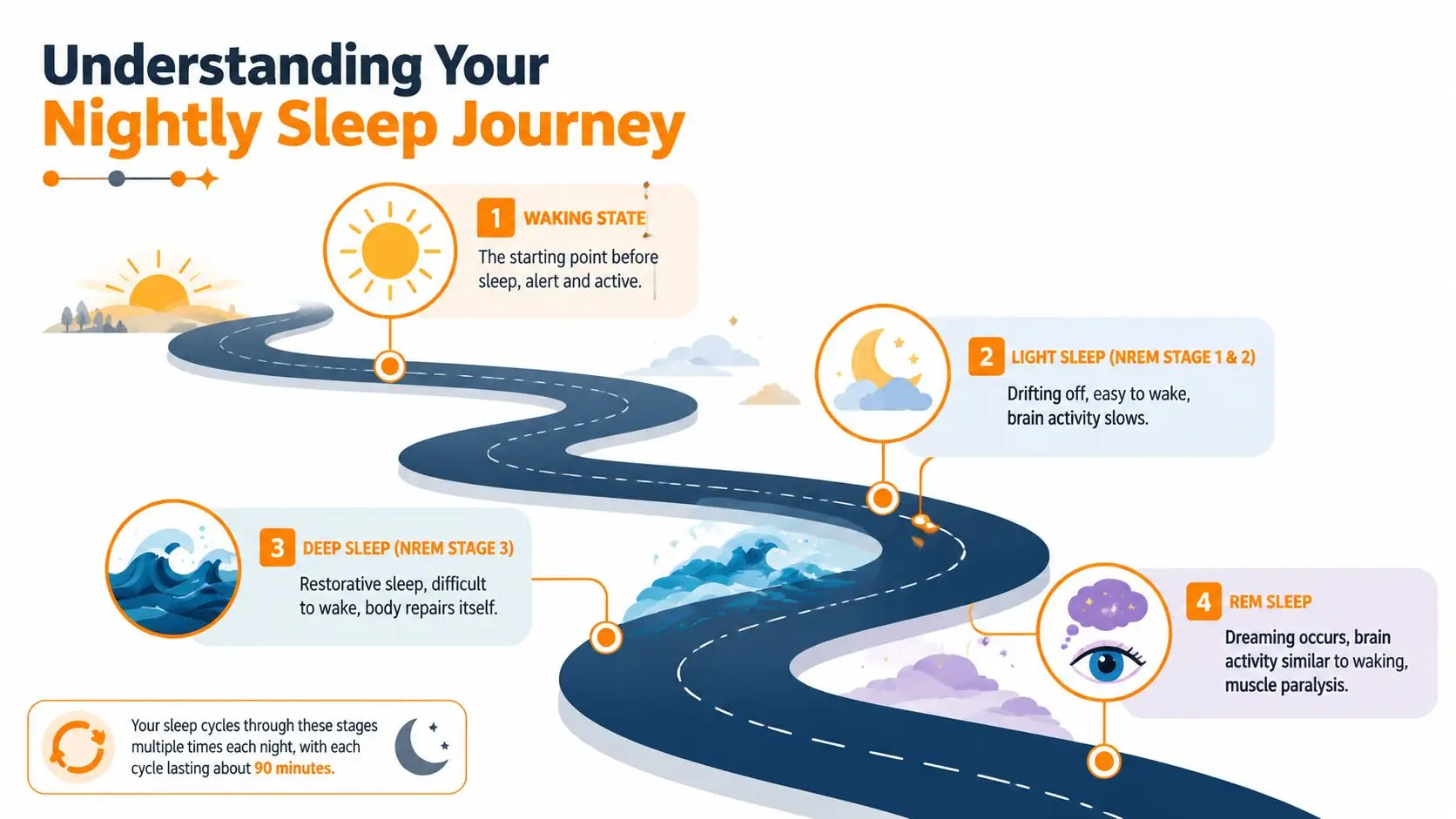 An infographic illustrating the four stages of a nightly sleep journey including waking, light, deep, and REM sleep.