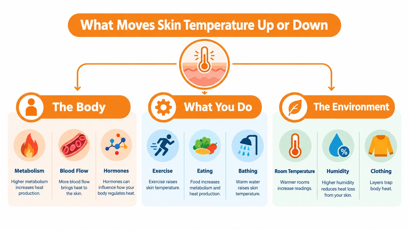 An infographic showing factors affecting skin temperature, including the body, daily activities, and environmental conditions.
